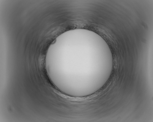 X0000113340034200909151015