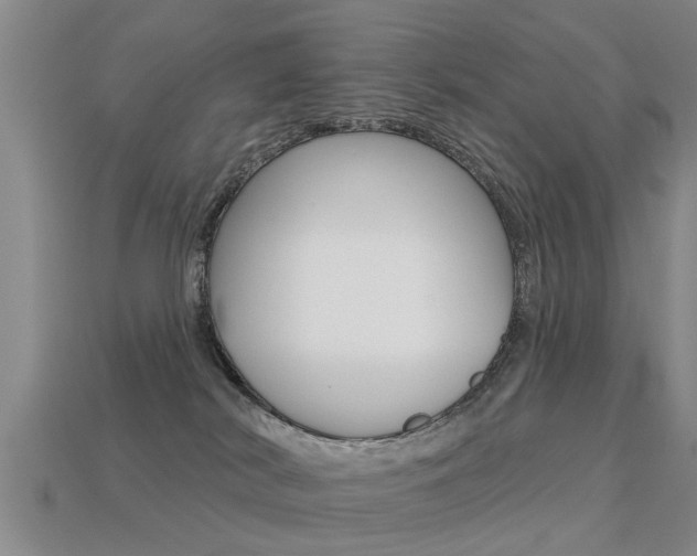 X0000113340038200909151015