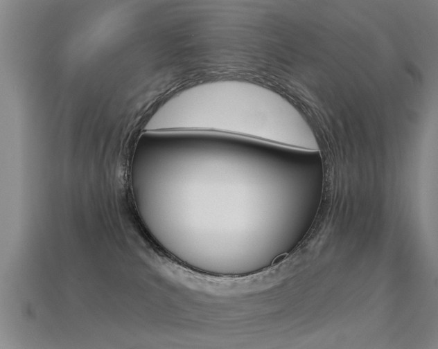 X0000113340039200909151015
