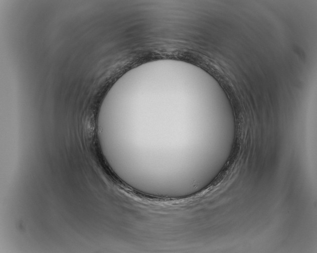 X0000113340040200909151015