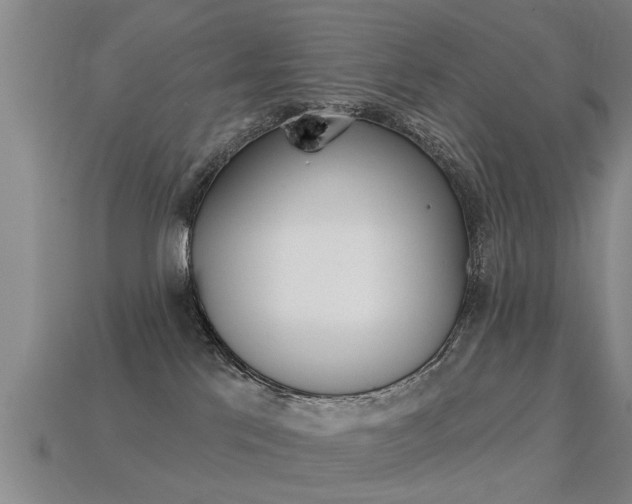 X0000113340041200909151015