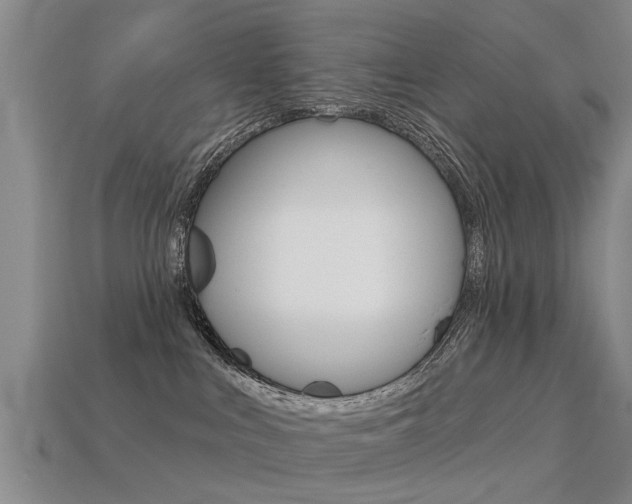 X0000113340043200909151015