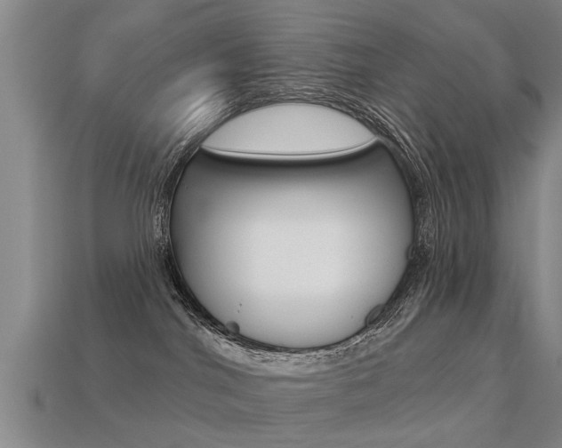 X0000113340044200909151015