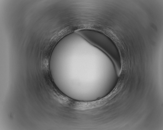 X0000113340045200909151015