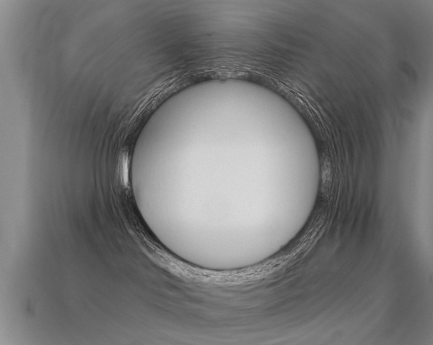 X0000113340046200909151015