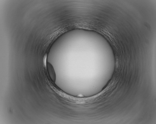 X0000113340047200909151015