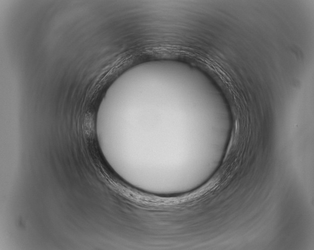 X0000113340048200909151015