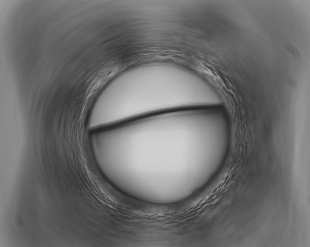 X0000113340049200909151014