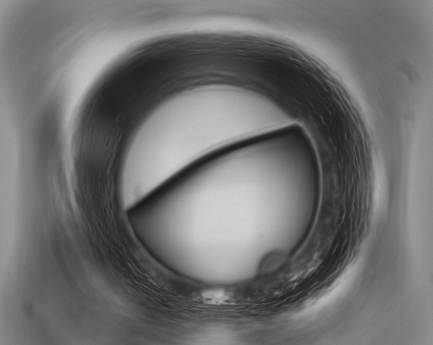 X0000113340050200909151014