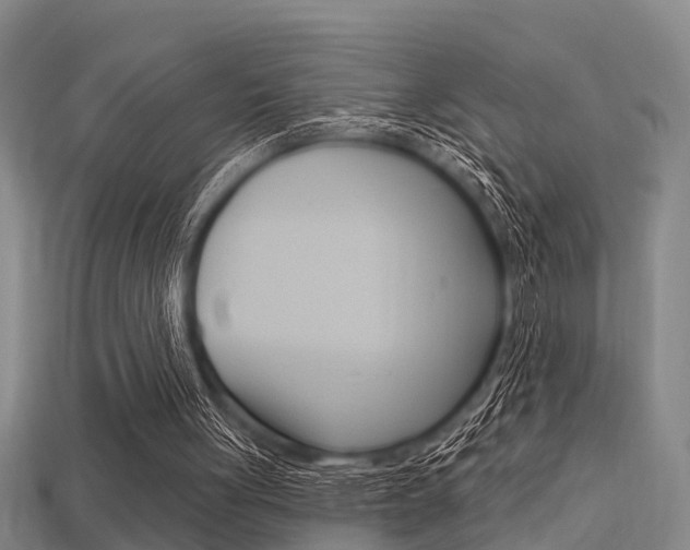 X0000113340051200909151014