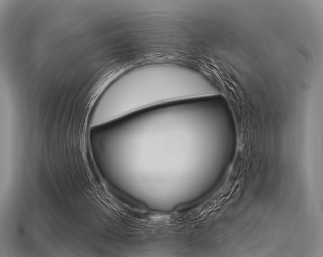X0000113340052200909151014