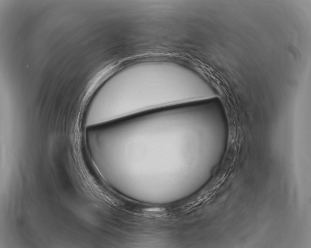 X0000113340053200909151014