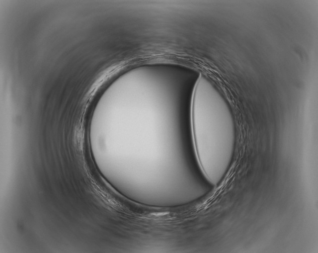 X0000113340054200909151014