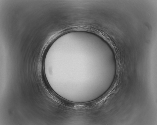 X0000113340055200909151014