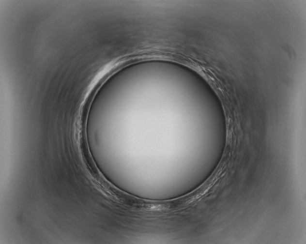 X0000113340056200909151014