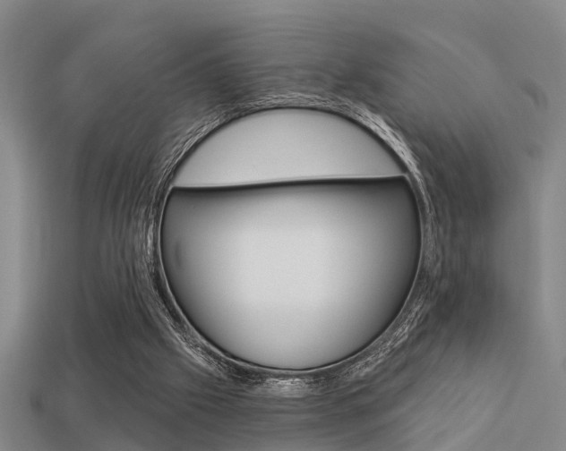 X0000113340057200909151014