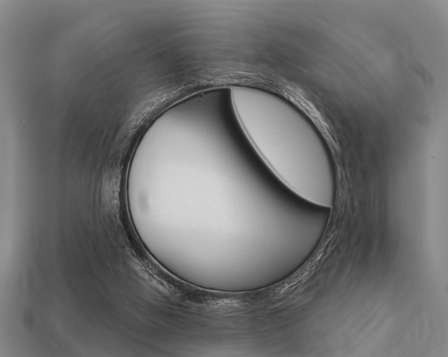 X0000113340058200909151014