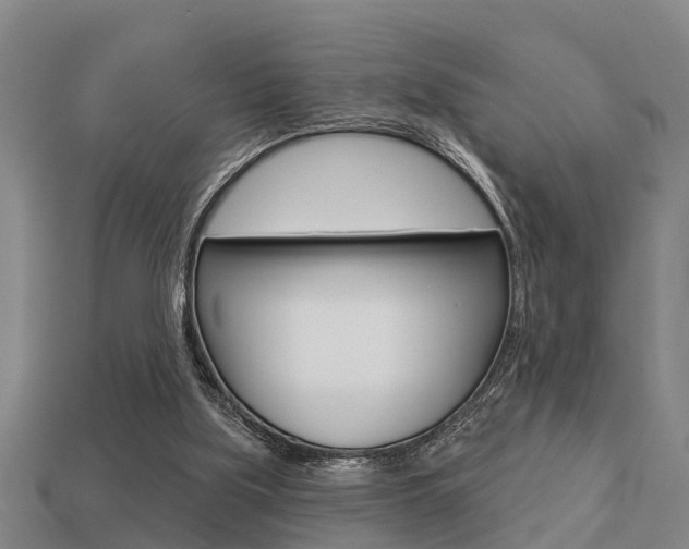 X0000113340059200909151014