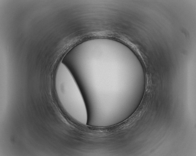 X0000113340061200909151014