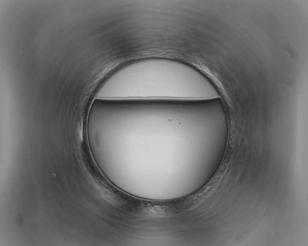 X0000113340062200909151014