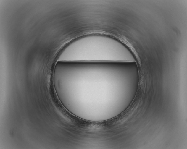 X0000113340063200909151014