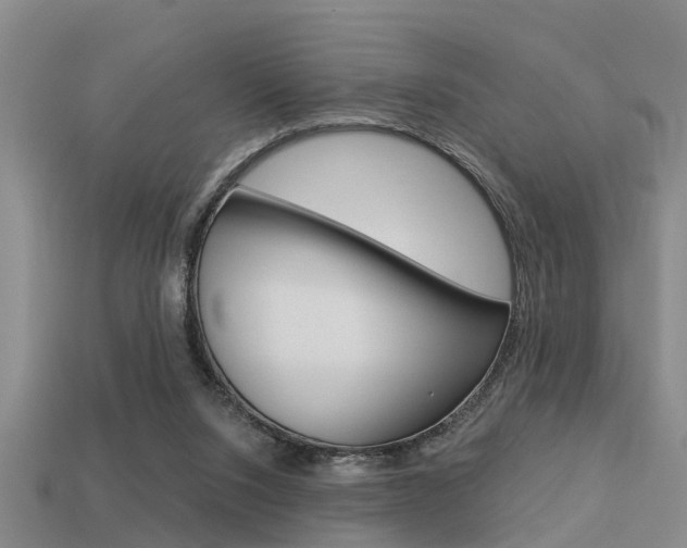 X0000113340064200909151014