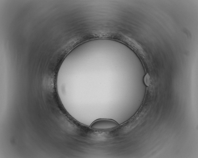 X0000113340065200909151014