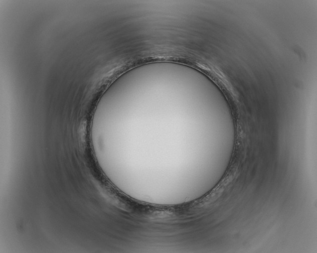 X0000113340066200909151014