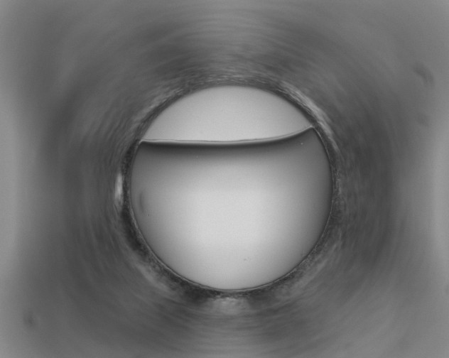 X0000113340067200909151014