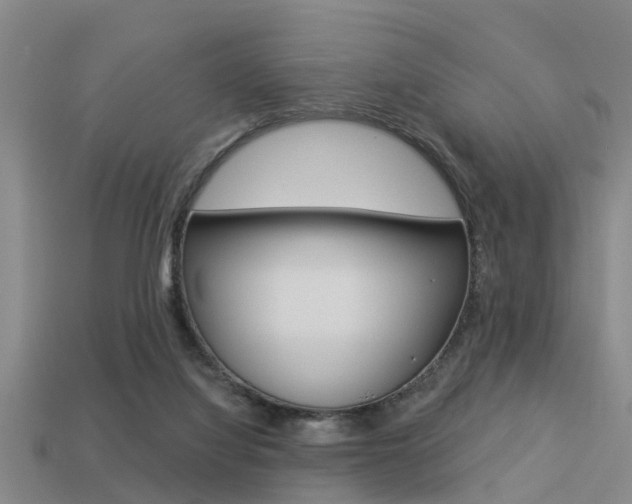 X0000113340068200909151014