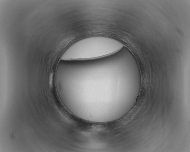 X0000113340070200909151014