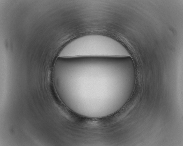 X0000113340071200909151014