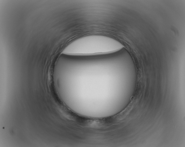 X0000113340074200909151014