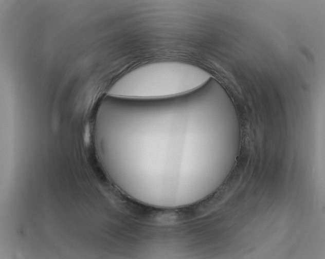 X0000113340075200909151014