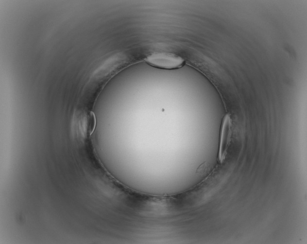 X0000113340076200909151014
