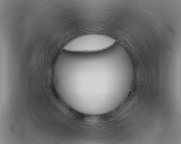 X0000113340079200909151014