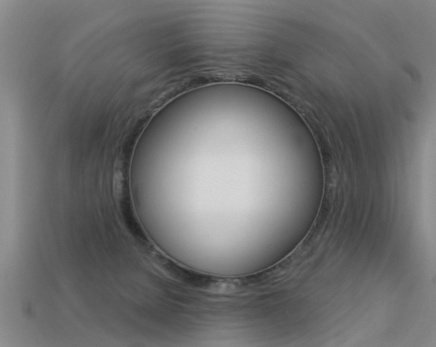X0000113340080200909151014