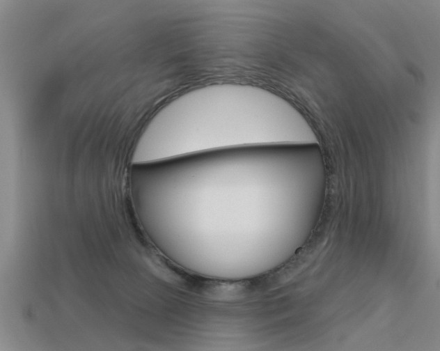 X0000113340081200909151014