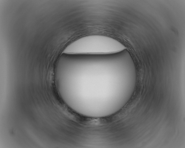 X0000113340083200909151014