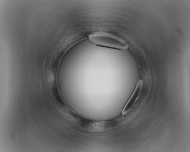 X0000113340084200909151014
