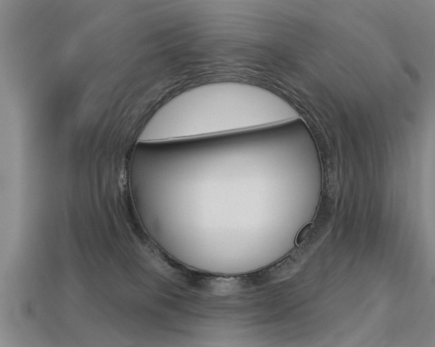 X0000113340085200909151014