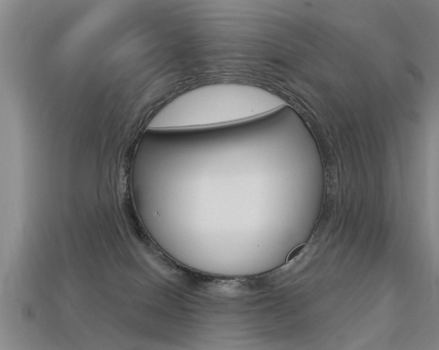 X0000113340086200909151015