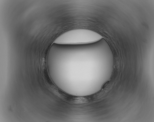 X0000113340087200909151015
