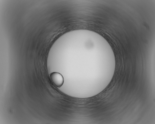 X0000113340088200909151015