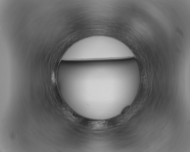 X0000113340089200909151015