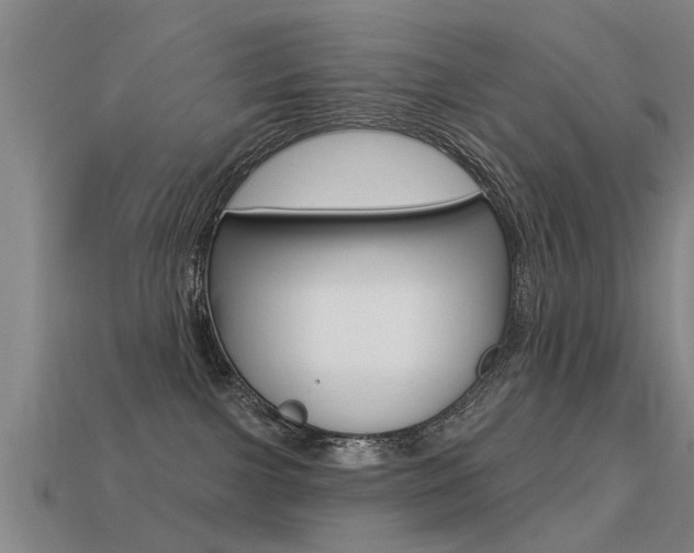 X0000113340091200909151015
