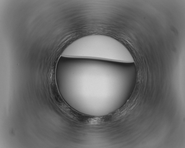 X0000113340092200909151015