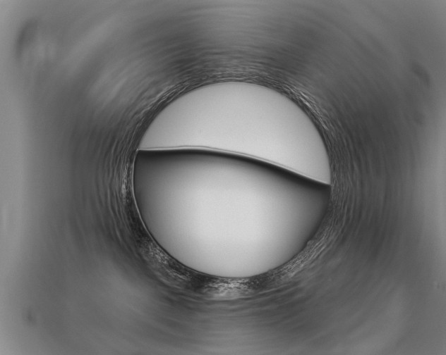 X0000113340093200909151015