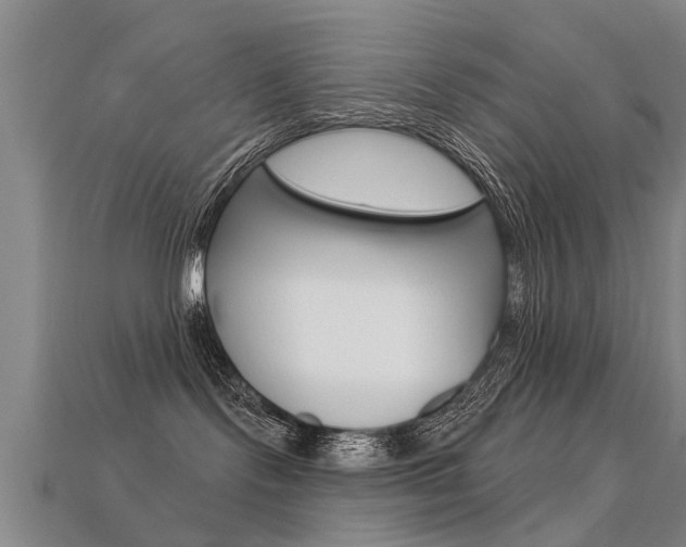 X0000113340095200909151015