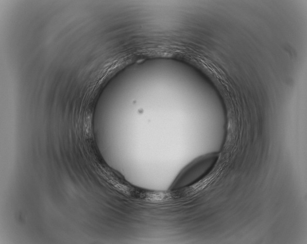 X0000113340096200909151015